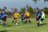 S.K.N.W.K. 3 - Duiveland 3 (comp.) seizoen 2021-2022 (13/47)